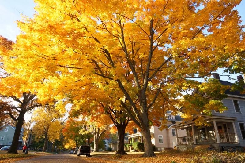 Illustration for article titled 48 Photos Of Autumn Around The World